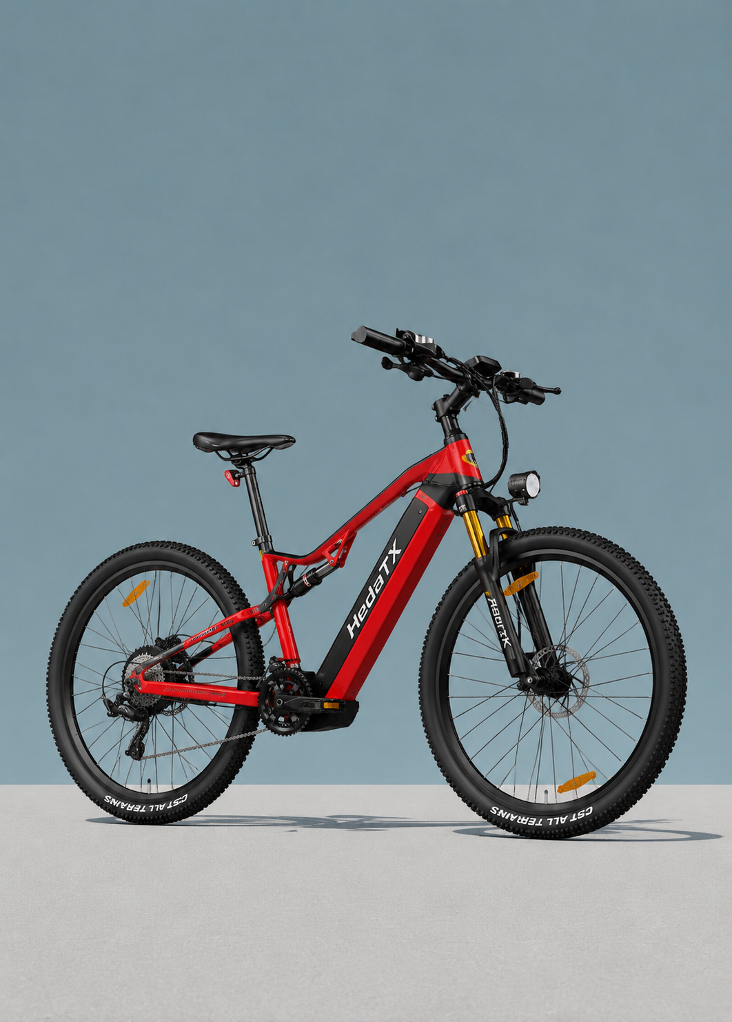 Vélo Électrique TX19 1000W